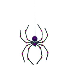 The Christmas Spider!!